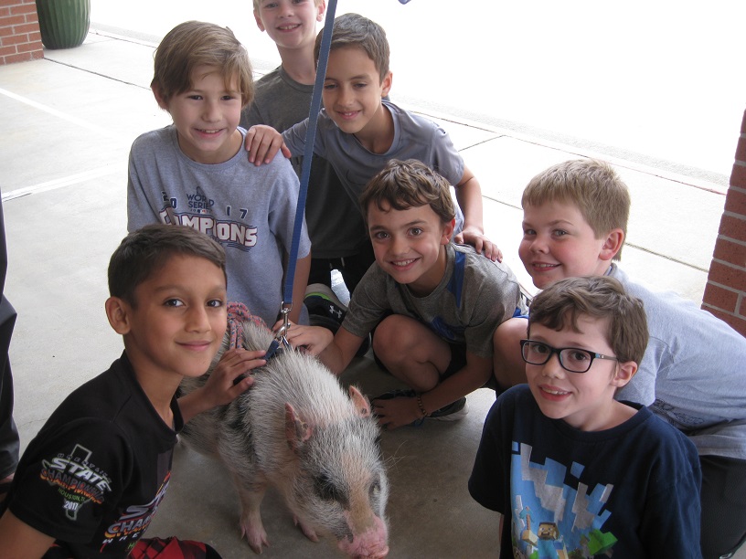 students pose with a picture with a pot bellied pig