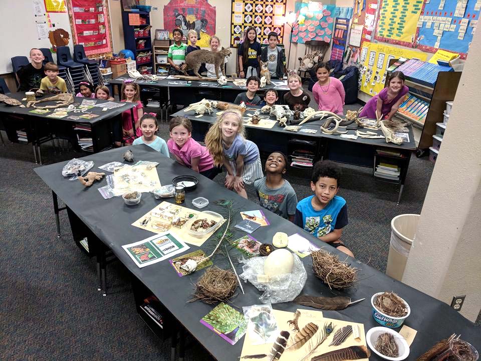 "a class learns about animal characteristics using real life specimens"