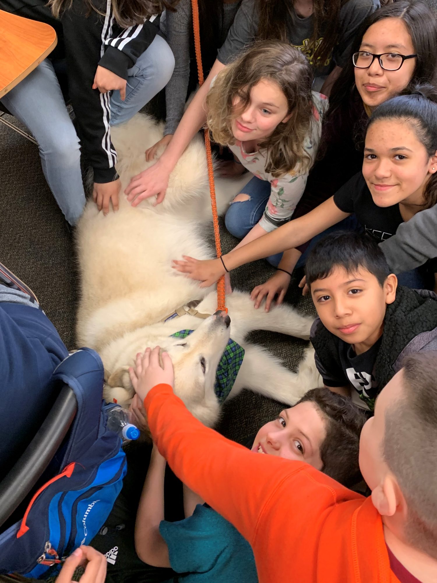 "students pet a dog"