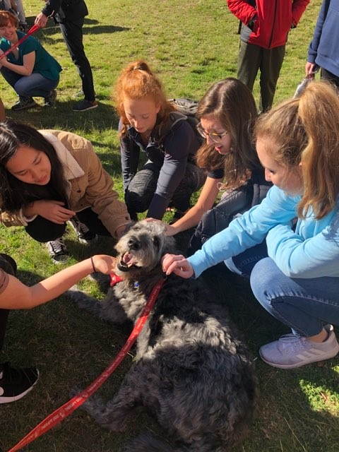 "a group of students pet a therapy dog"
