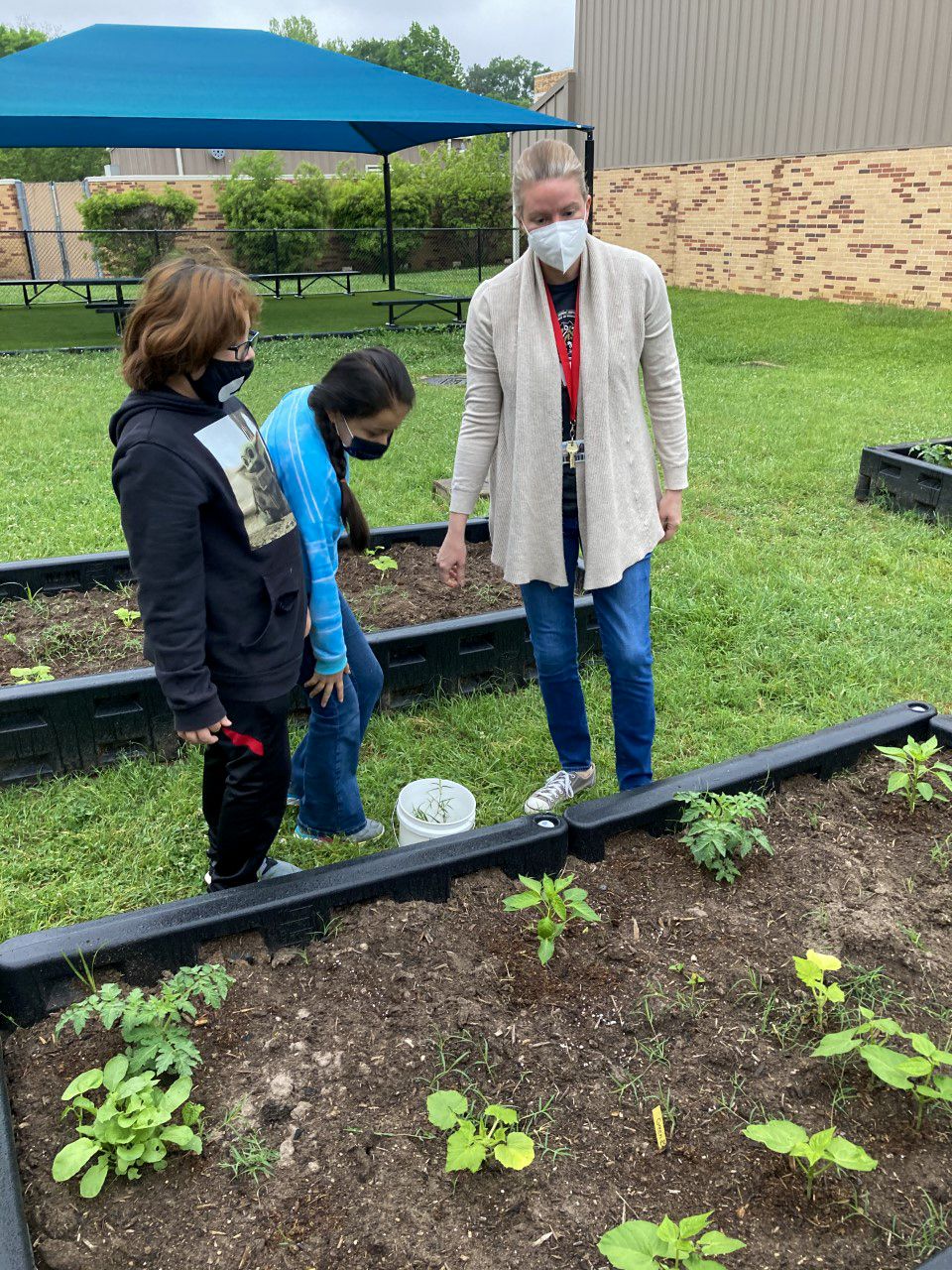 Students help plant new plants in the school garden..