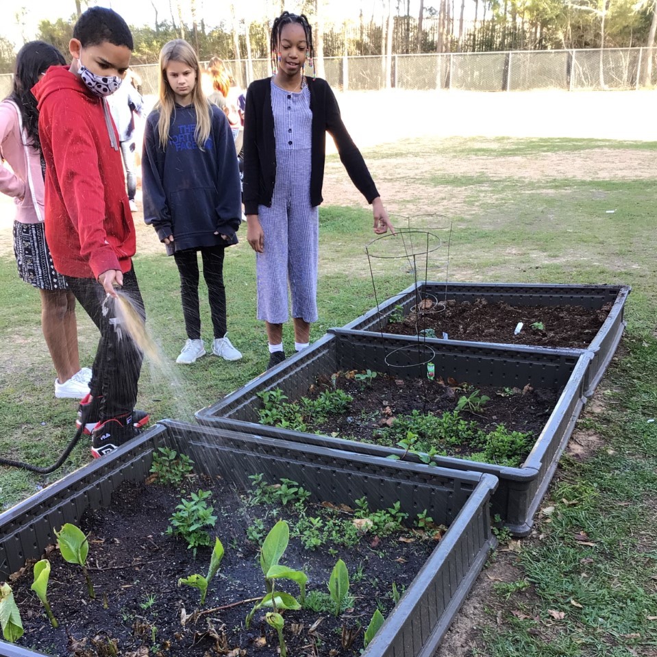 Students watering plants.